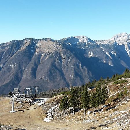 Chalet Zlatica Velika Planina Стаховица Экстерьер фото