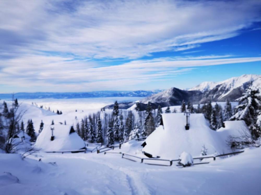 Chalet Zlatica Velika Planina Стаховица Экстерьер фото