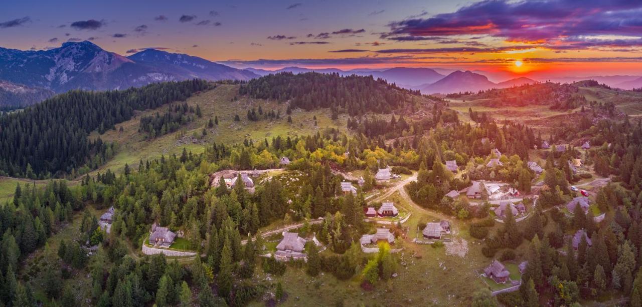 Chalet Zlatica Velika Planina Стаховица Экстерьер фото