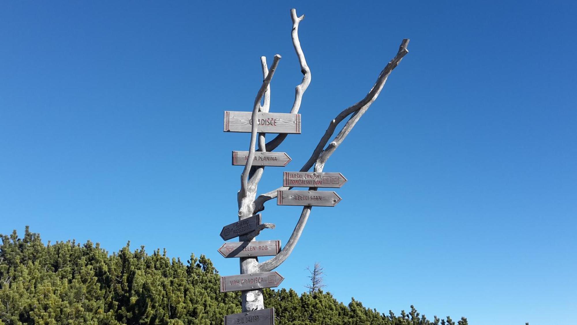 Chalet Zlatica Velika Planina Стаховица Экстерьер фото