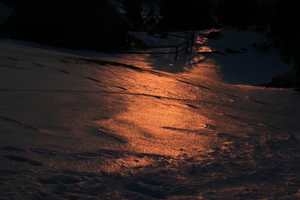 Chalet Zlatica Velika Planina Стаховица Экстерьер фото
