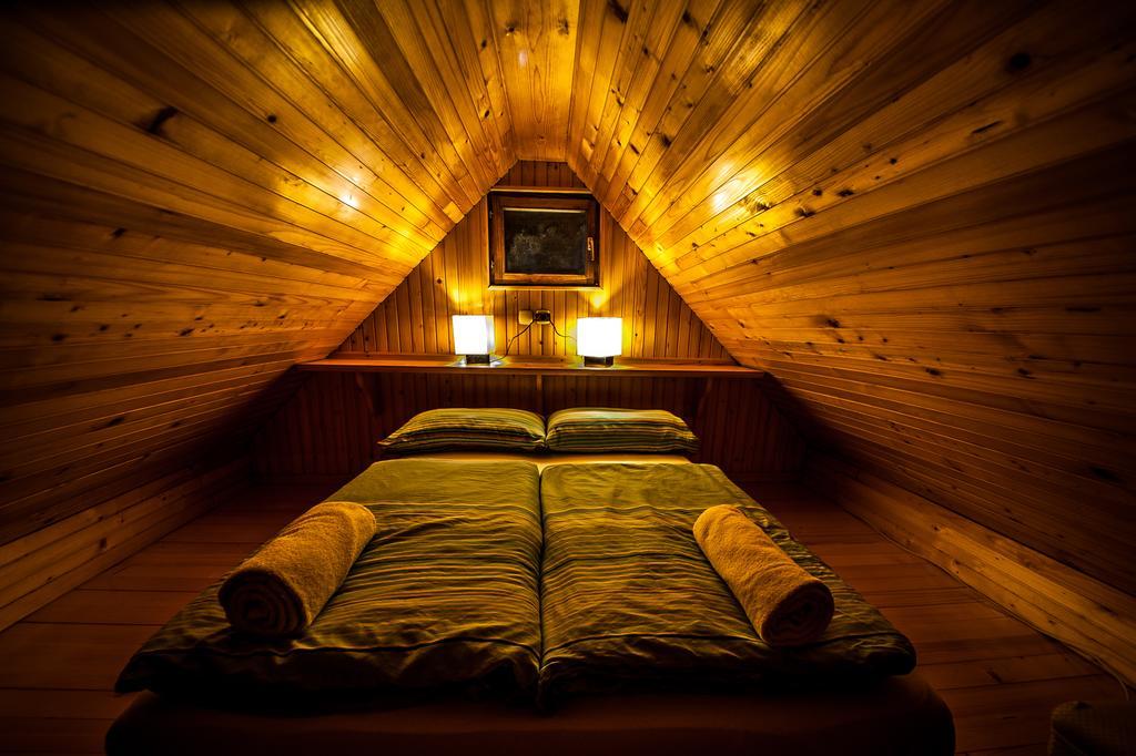 Chalet Zlatica Velika Planina Стаховица Экстерьер фото